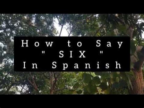 how to say 6 in spanish